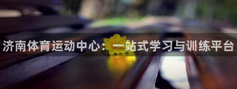 yy易游官方正版app集团E.ON:济南体育运动中心:一站式