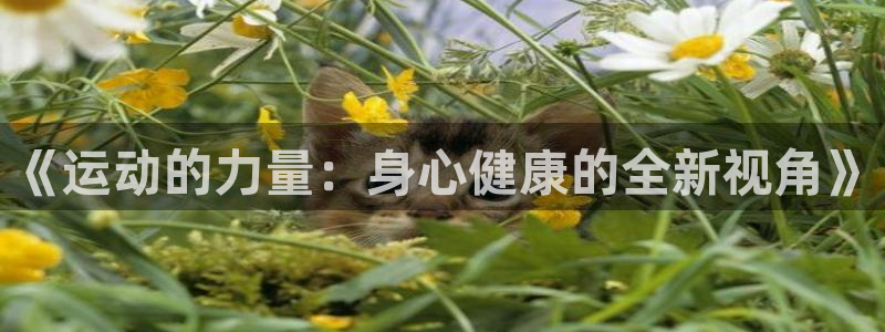 yy易游官方正版app神州:《运动的力量:身心健康的全新视角