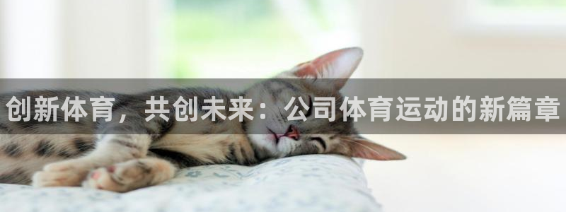 yy易游官方正版app官方:创新体育,共创未来:公司体育运动