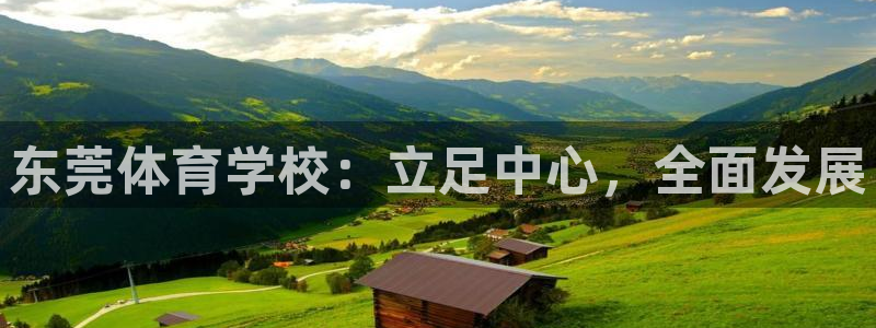 yy易游官方正版app五金厂:东莞体育学校:立足中心,全面发